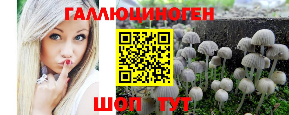 Шелехов  Псилоцибиновые грибы прущие грибы  Вход с VPN 
